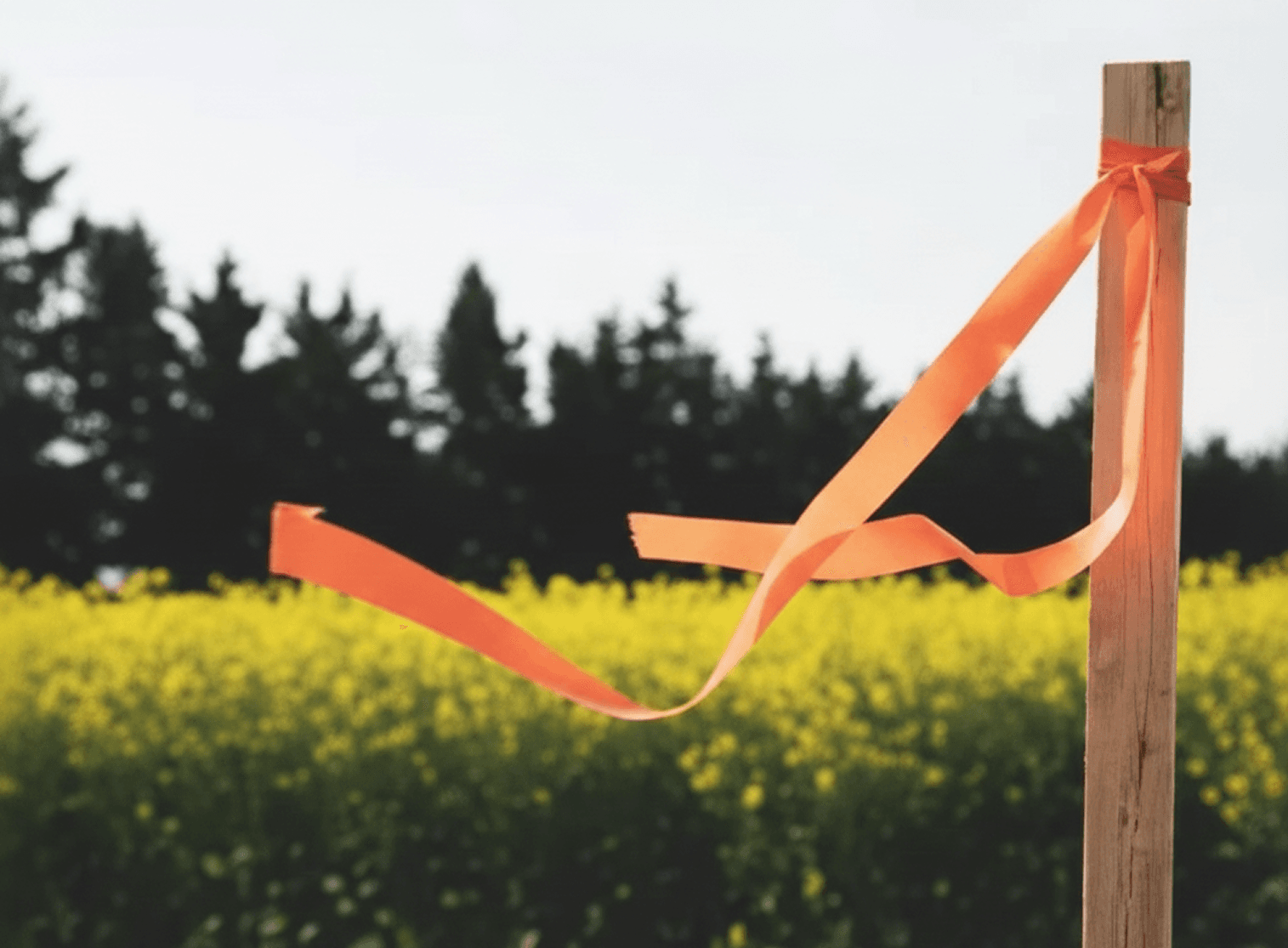 Keep Your Project on Track with Precise Construction Staking